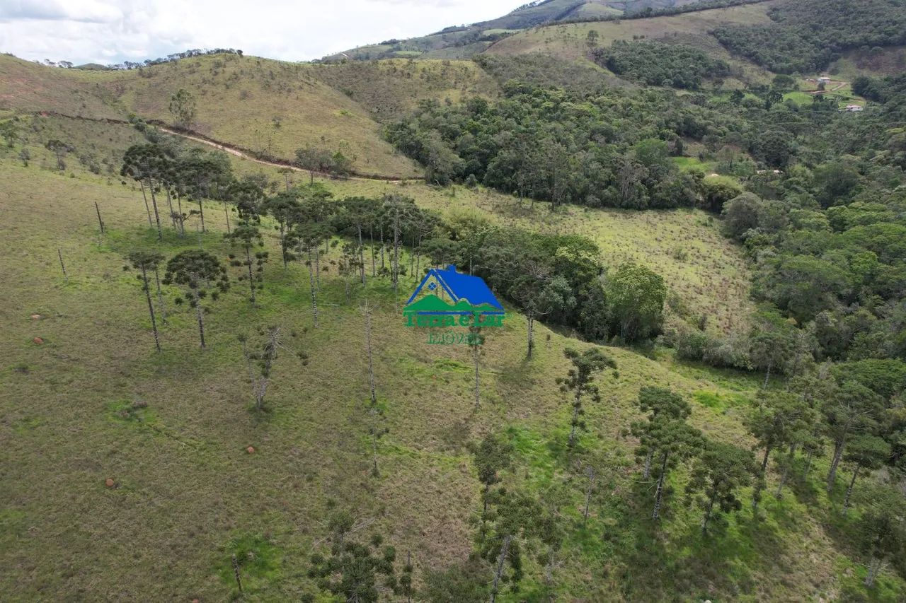 Terreno à venda em Liberdade - MG - Foto 3