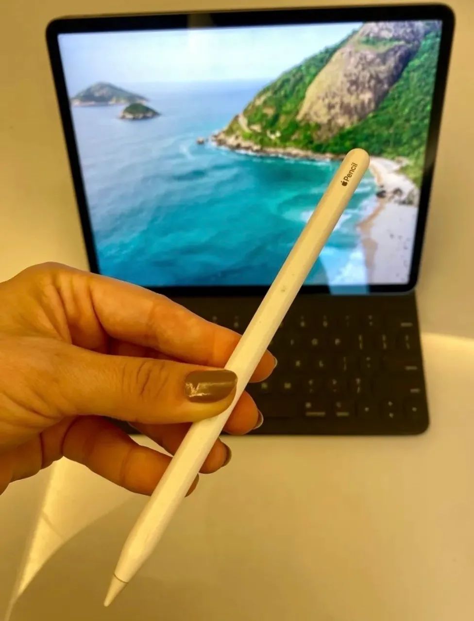 Apple iPad Pro (M1)12.9 Apple Pencil付き iPad Pro M1 12.9 ,256GB + Magic Keyboard + Apple Pencil (Tudo