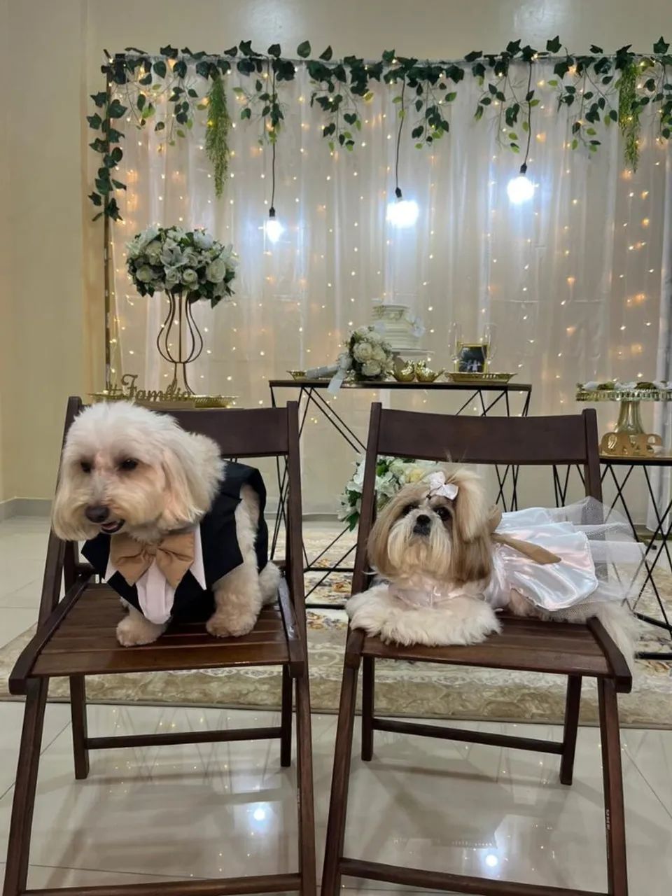 Beca + Capelo pet - Foto 3