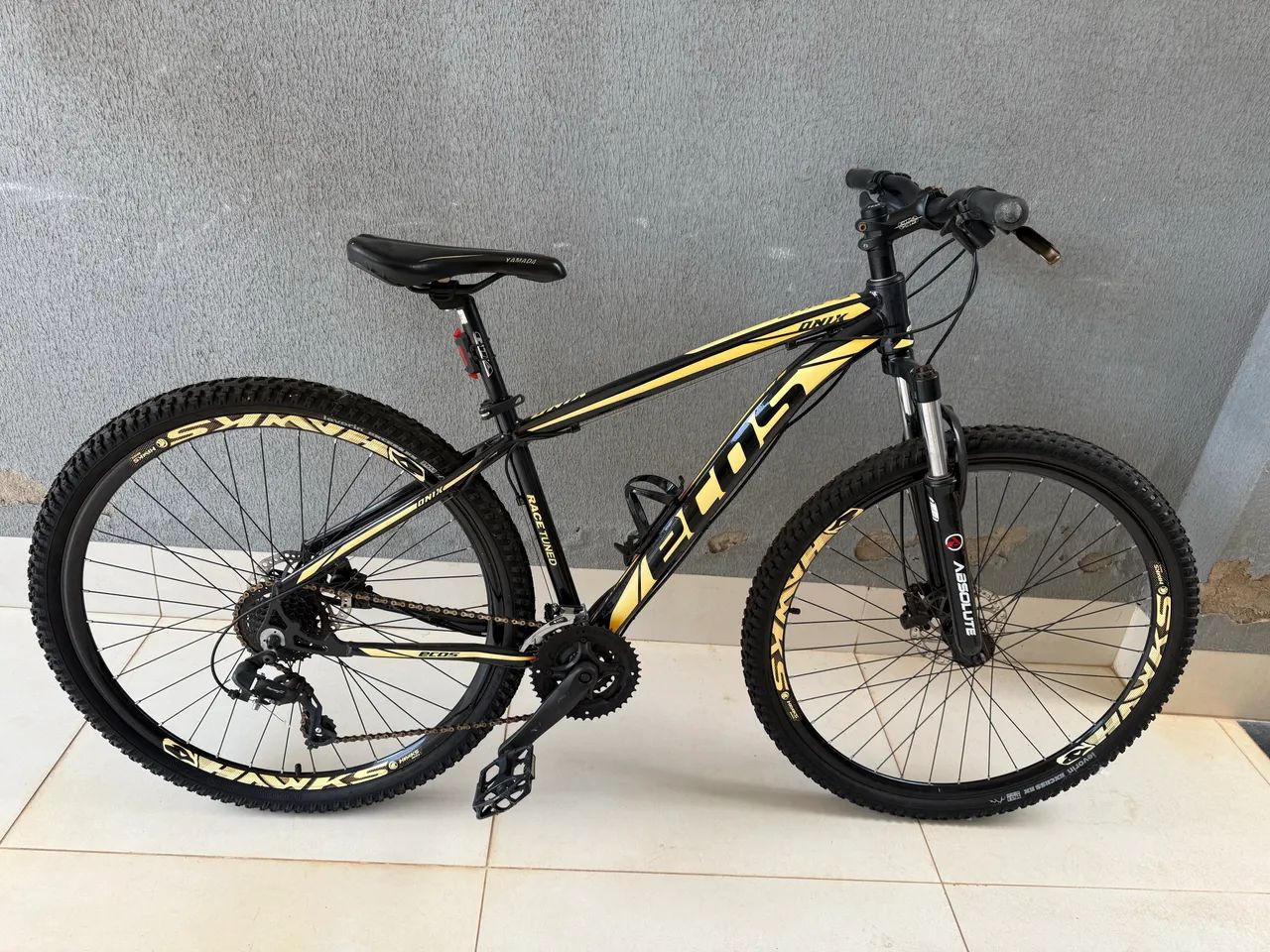 Bicicleta 