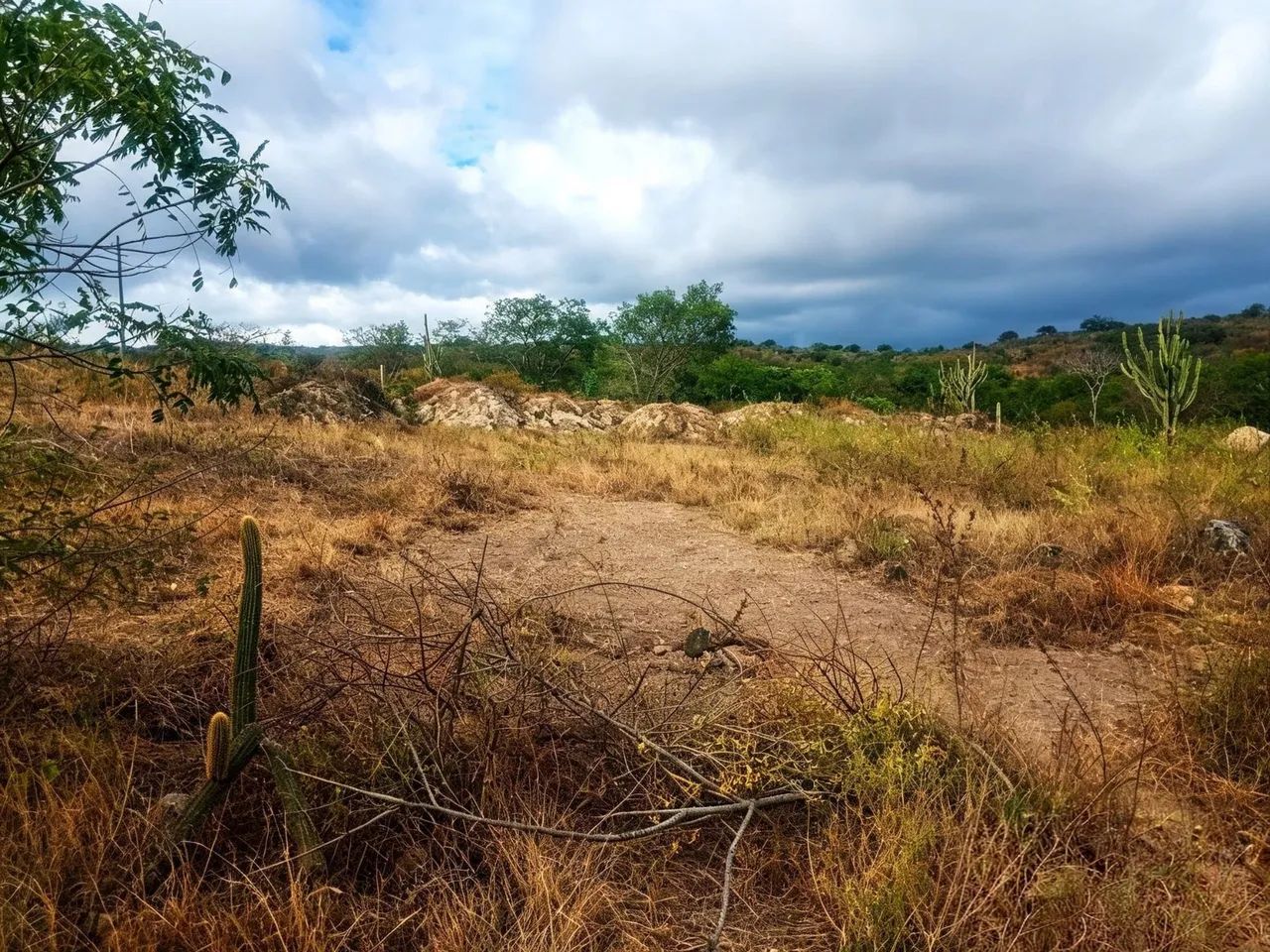 Terreno......... - Foto 4