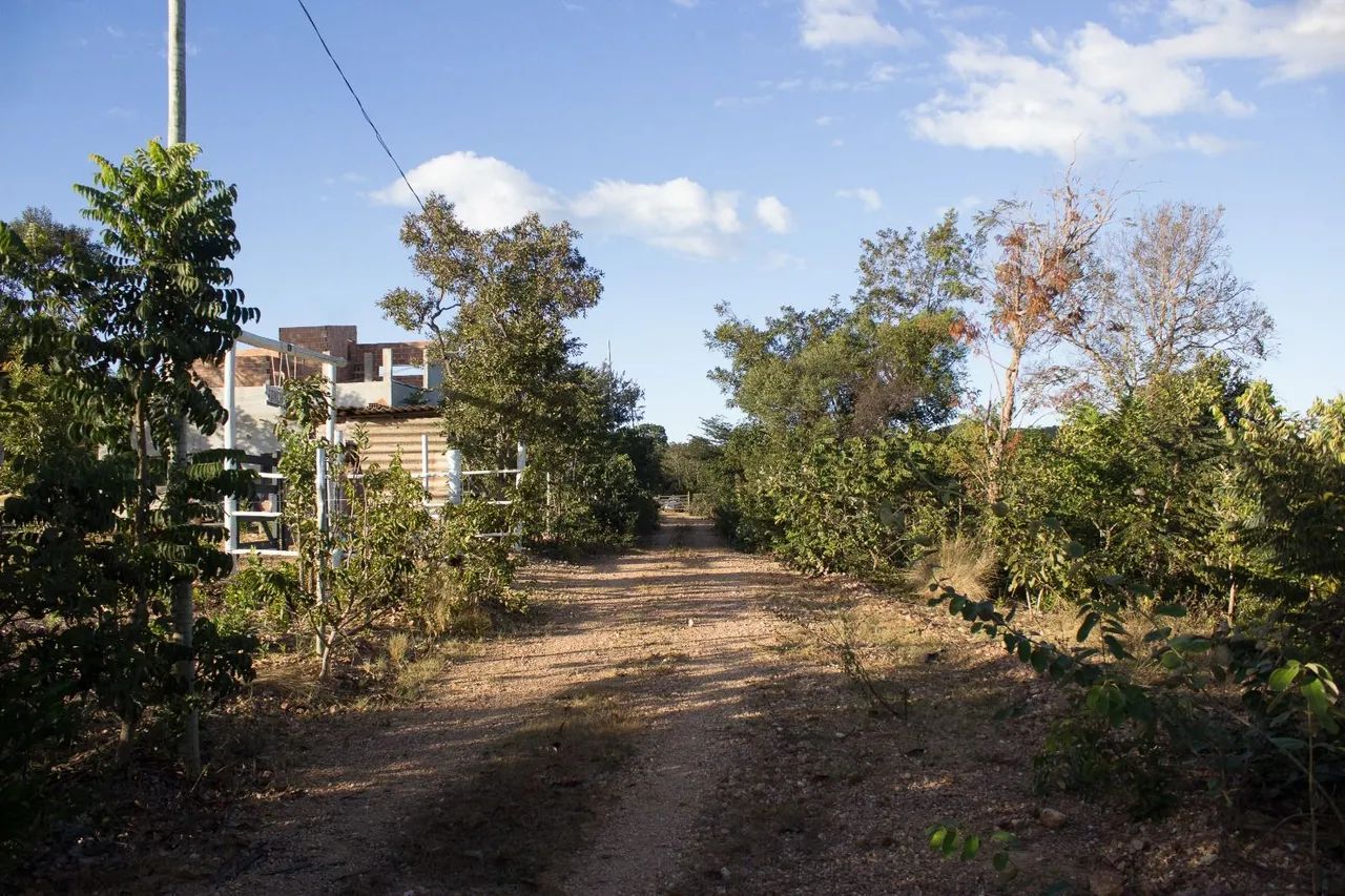Vendo Lote Santa Riacho 1.000m² - Foto 5
