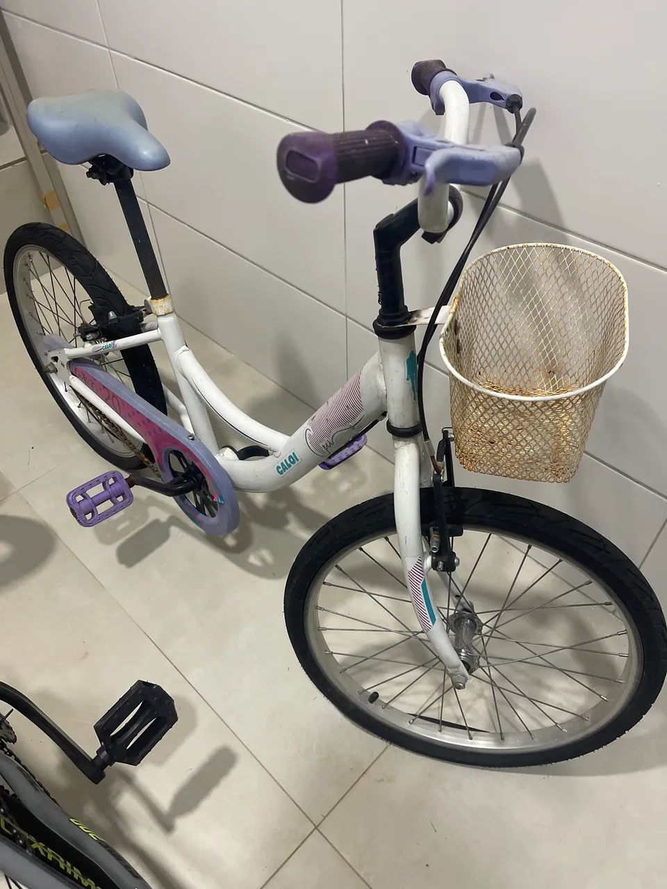 Bicicleta