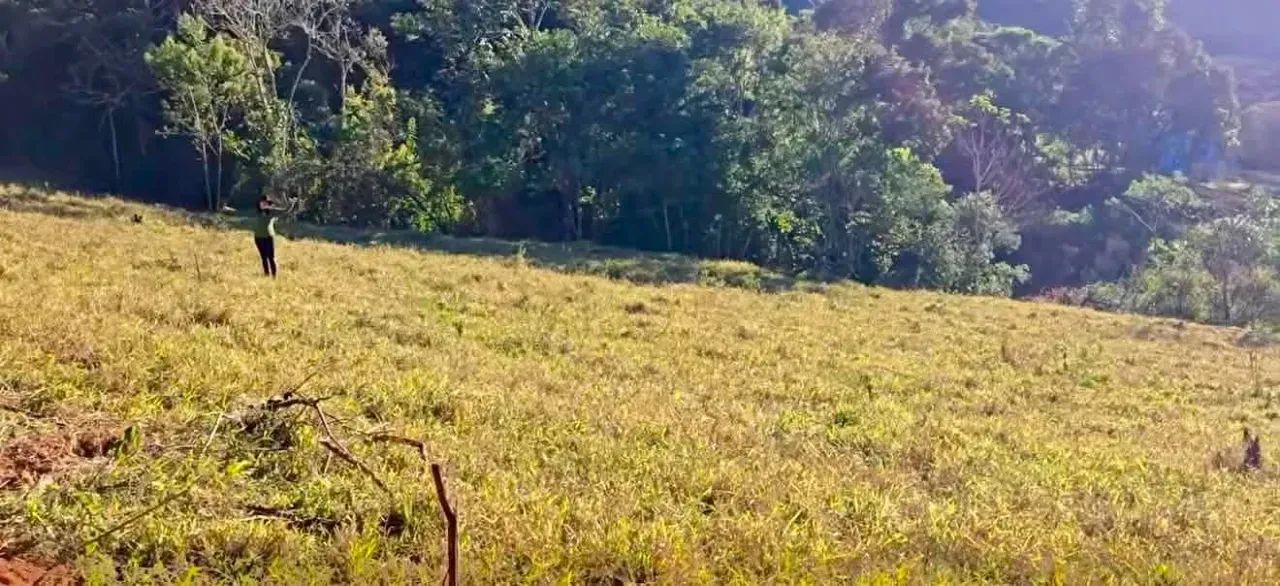 Terreno Nasente da Vida - Foto 4