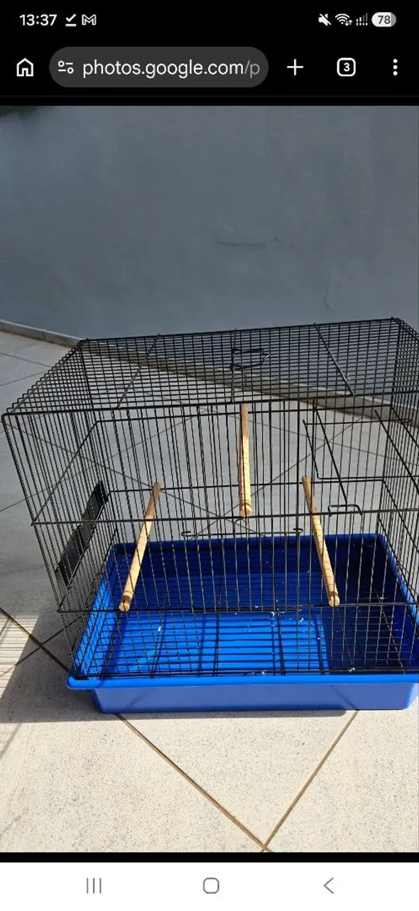 Gaiola Grande  - Foto 2