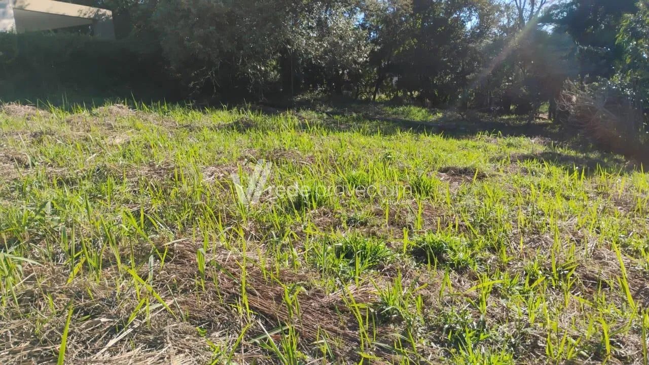 terreno - Clube de Campo Valinhos - Valinhos - Foto 3