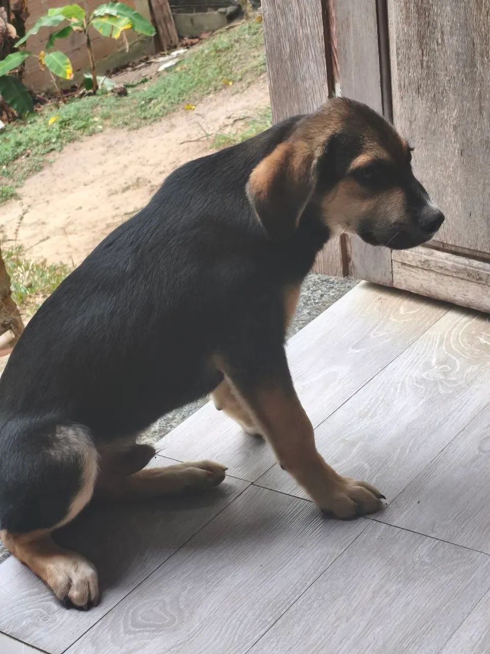 Doação  - Foto 3