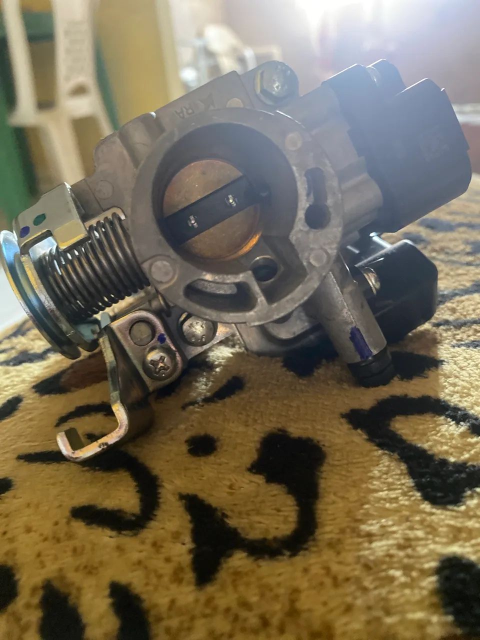 corpo injeto (mottu sport)