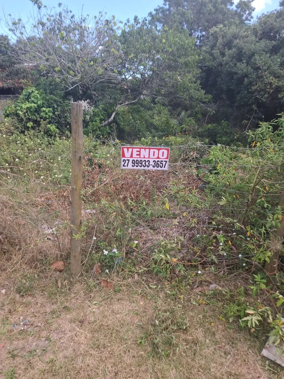 Lote Regência  - Foto 2