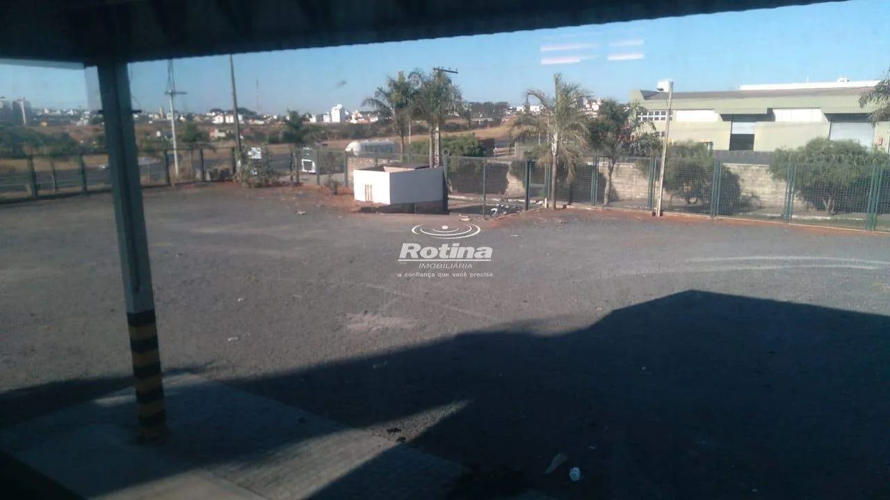 Galpão estilo garagem em área de 3.500m2 - Foto 4