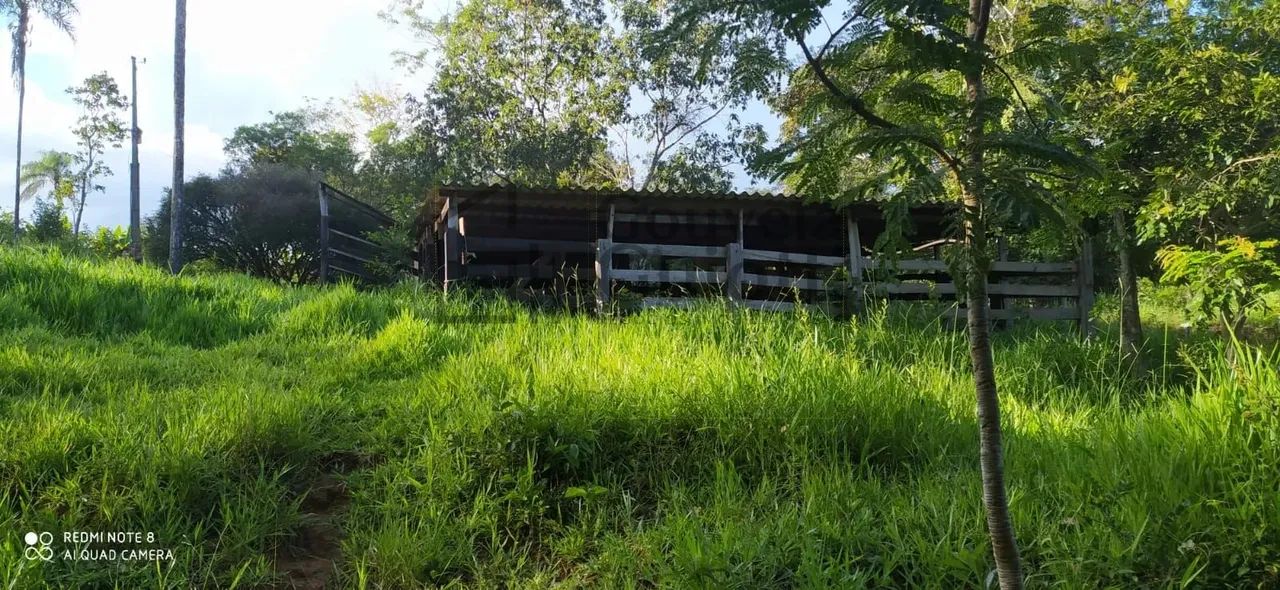 Chácara - Zona Rural - Abadiânia - Foto 3