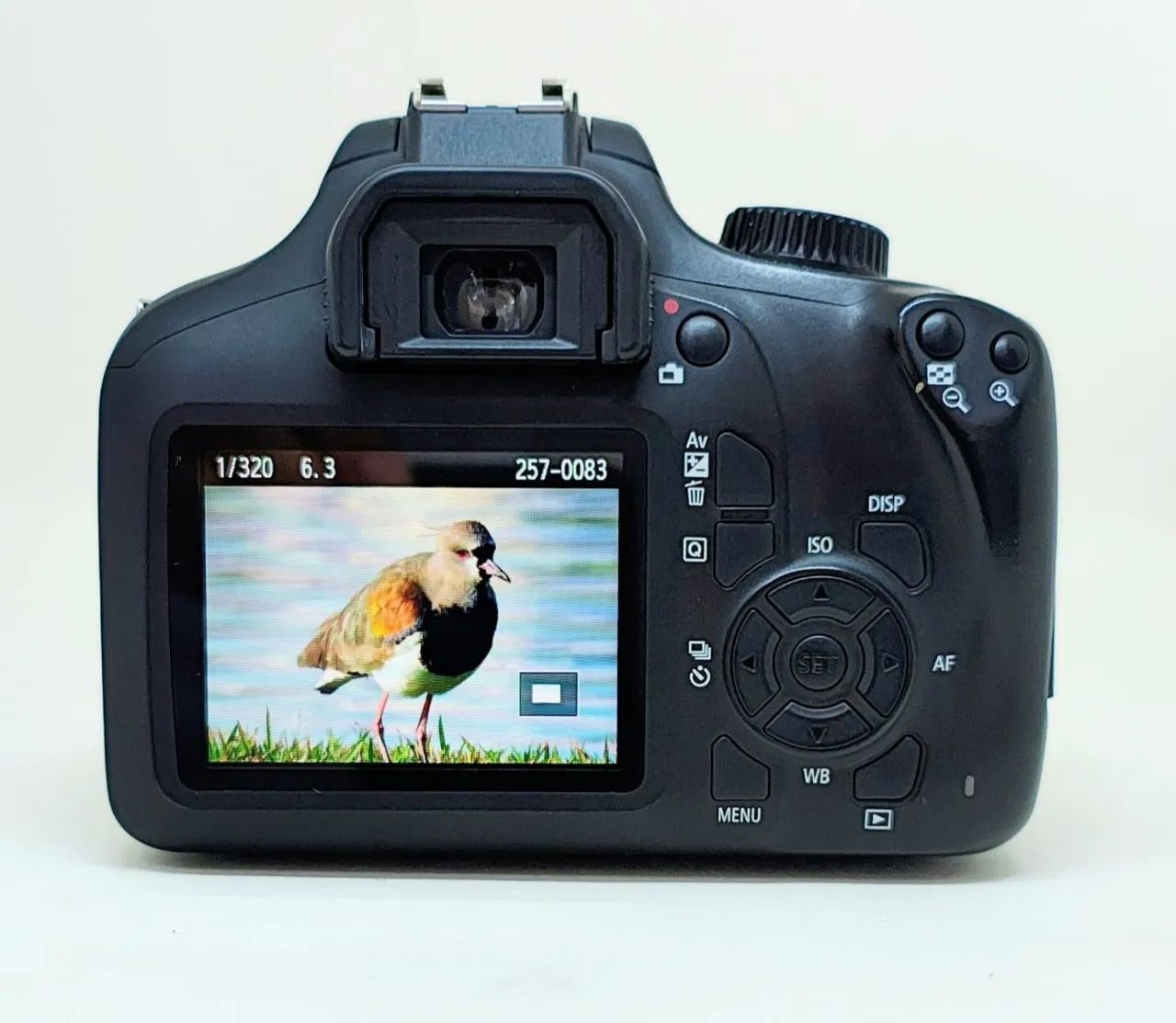 Camera CANON EOS REBEL T100 (NOVA) Completa - Foto 3
