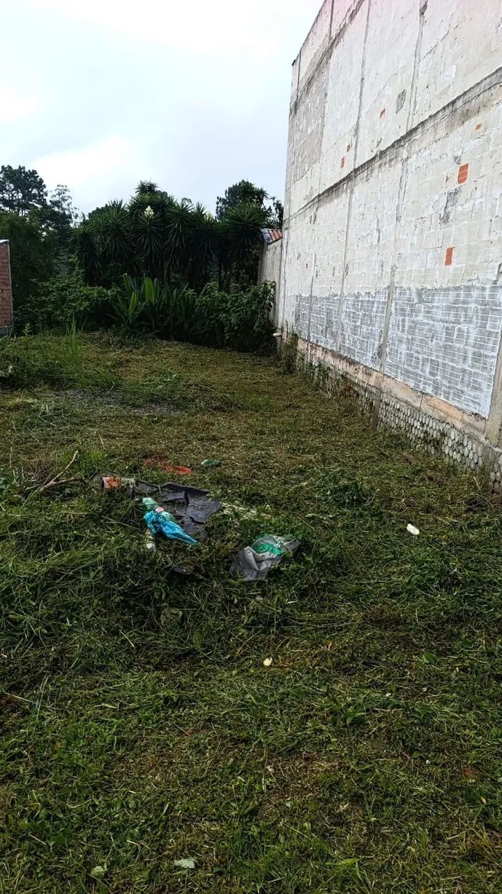 Foto - São Paulo - Jabaquara