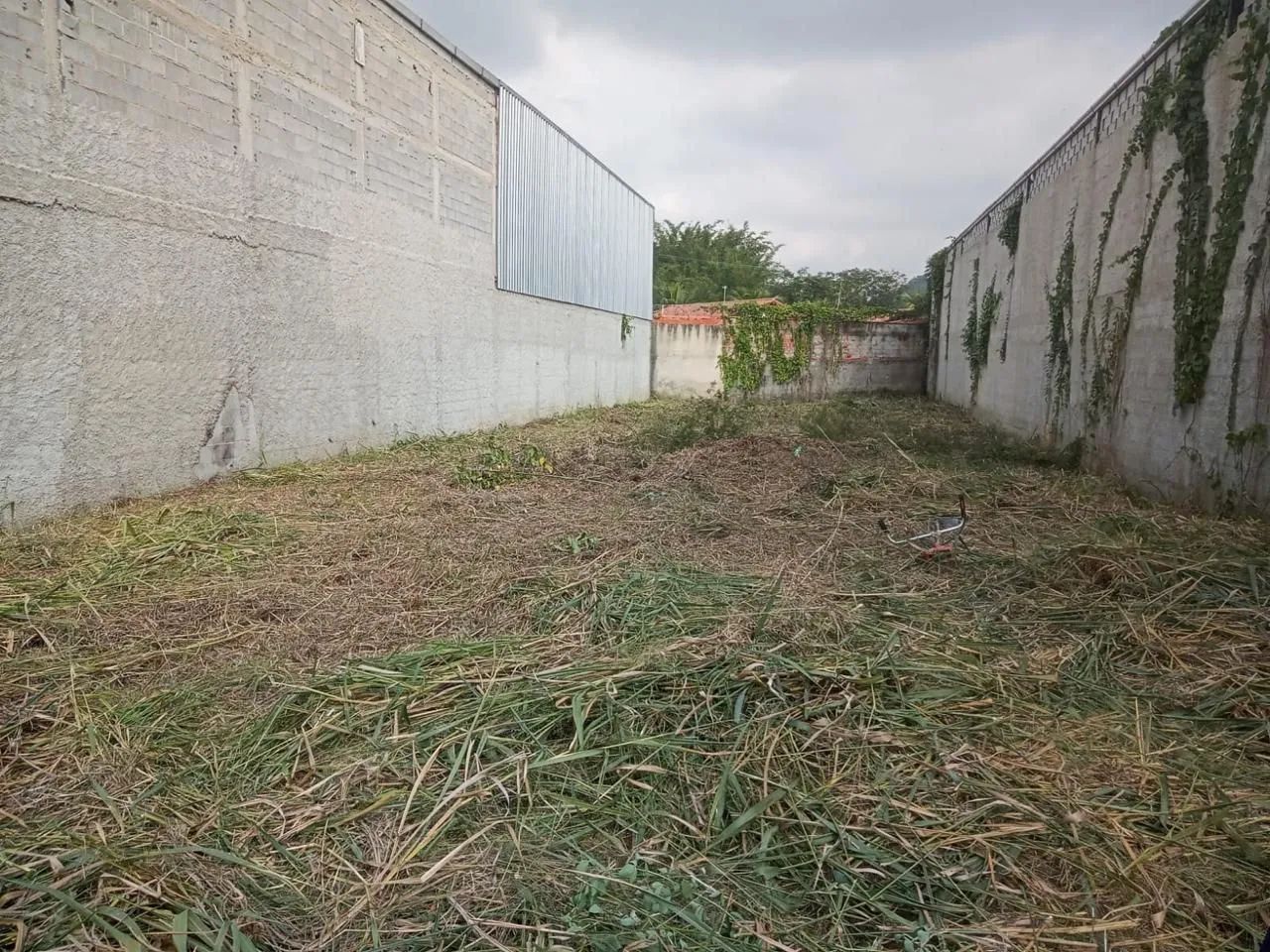 Terreno amplo  - Foto 2