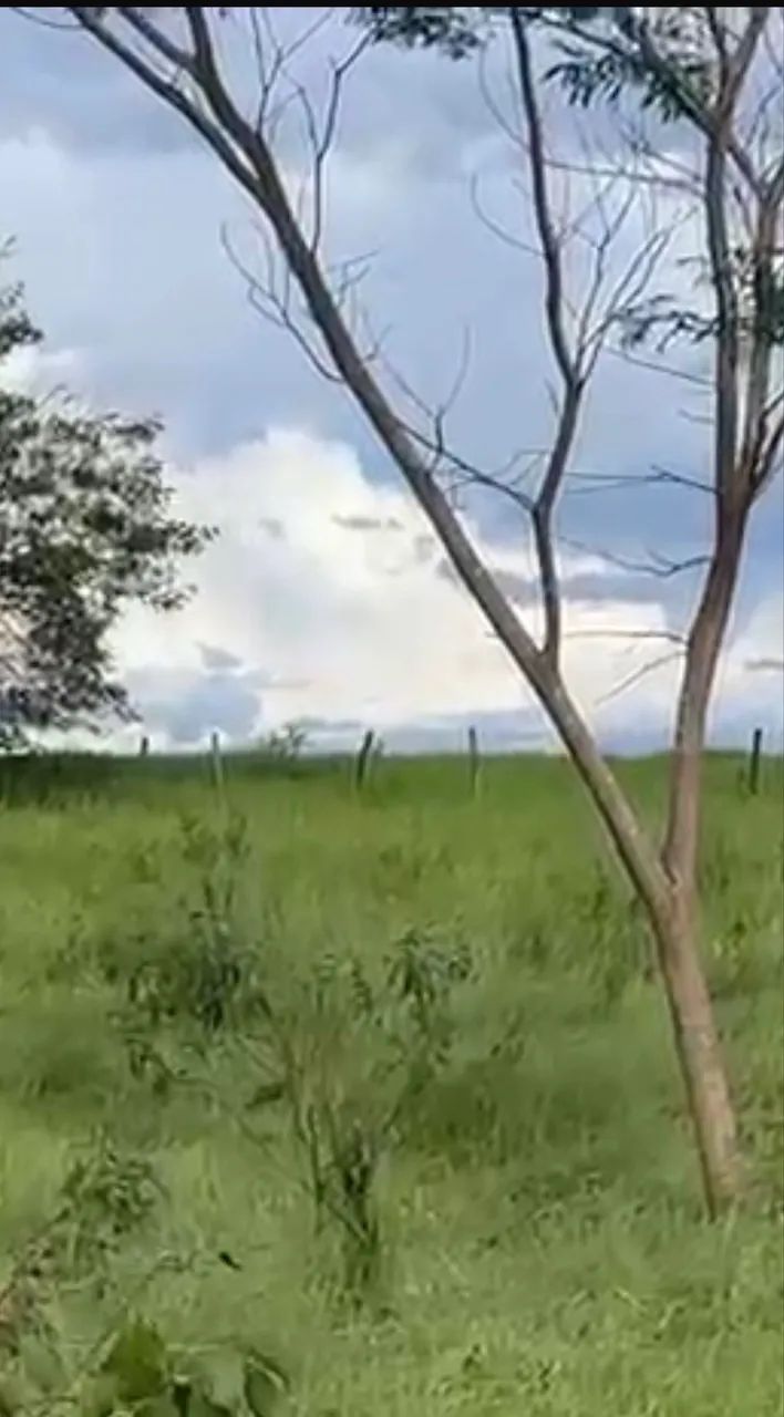 Fazenda dupla aptidão Gomendador gomes  - Foto 3