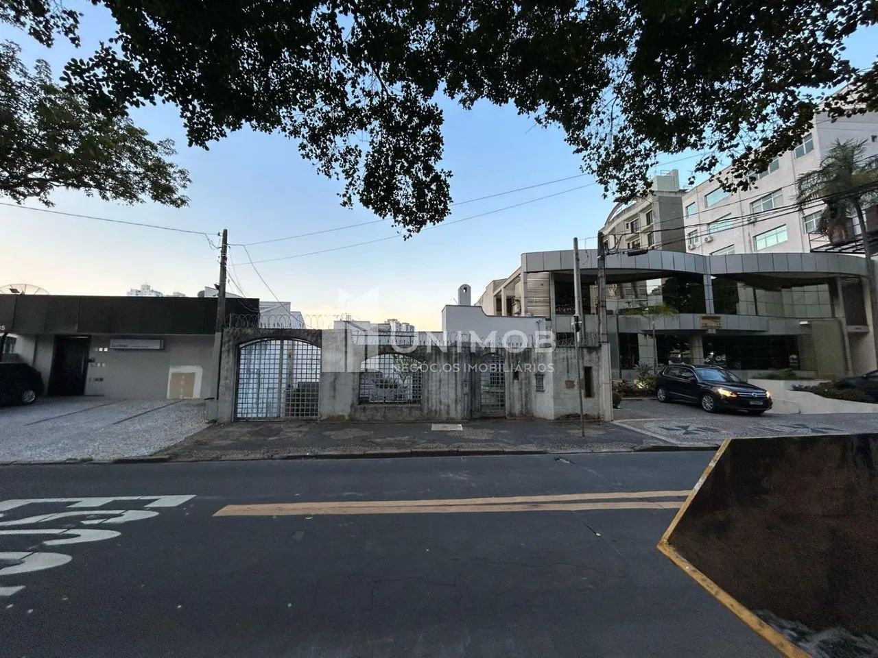 terreno - Cambuí - Campinas - Foto 2