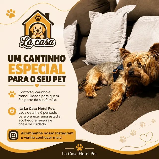 Taxi Dog - Hotel para Pet