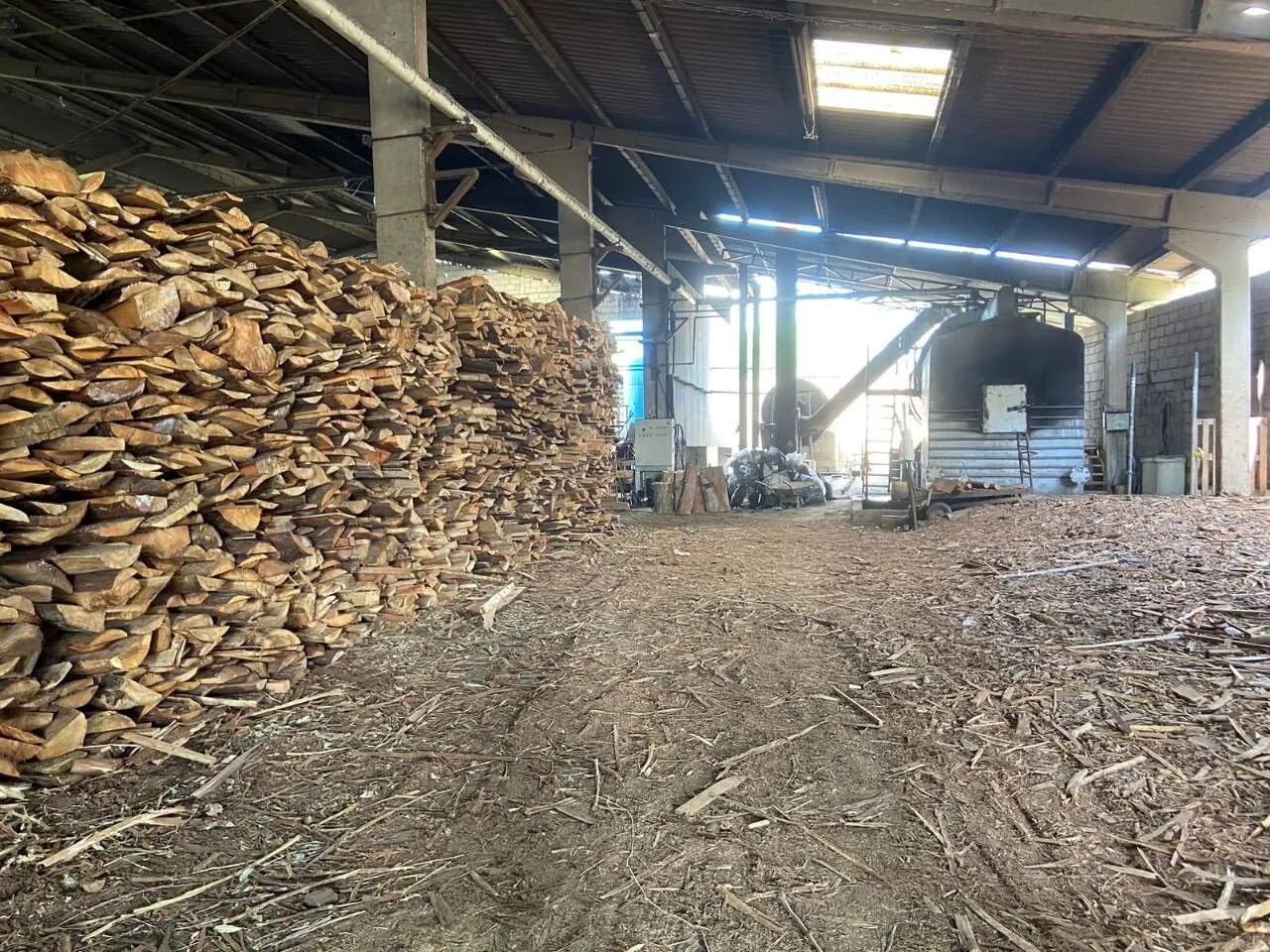 Galpão - 8000m² - Distrito Industrial - São Simão - Foto 5