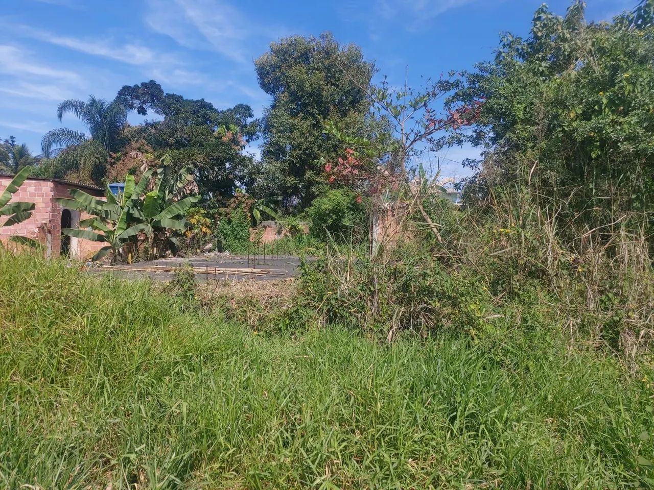 Vendo terreno em mage Maria conga  - Foto 2