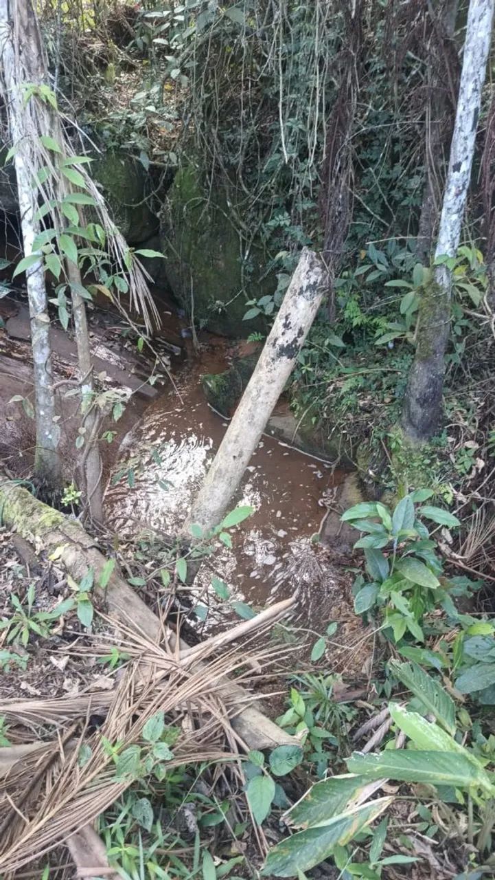 Vendo terreno em Aracê  - Foto 3