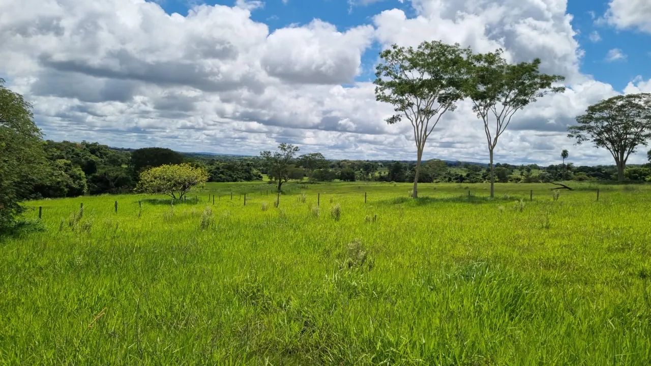 Fazenda dupla aptidão em campina verde  - Foto 5