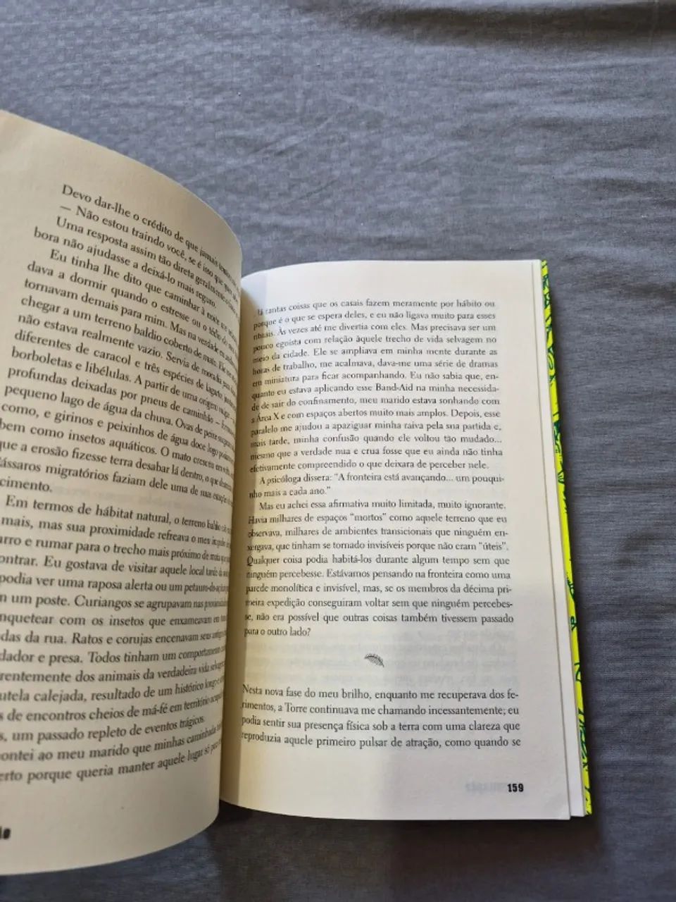 ANIQUILAÇÃO - Foto 3