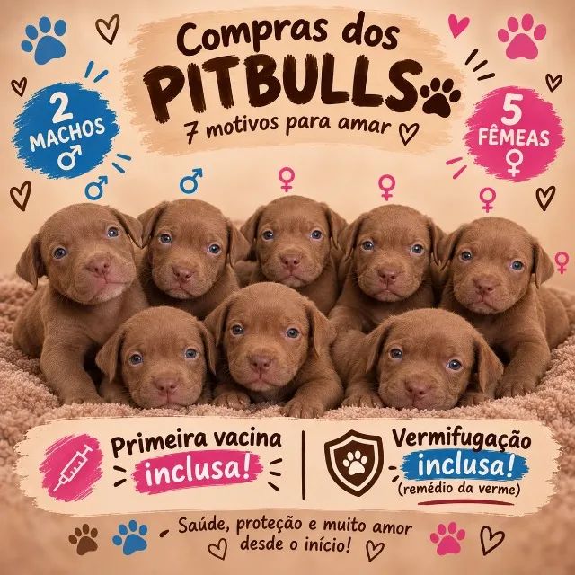 Pet - Foto 2