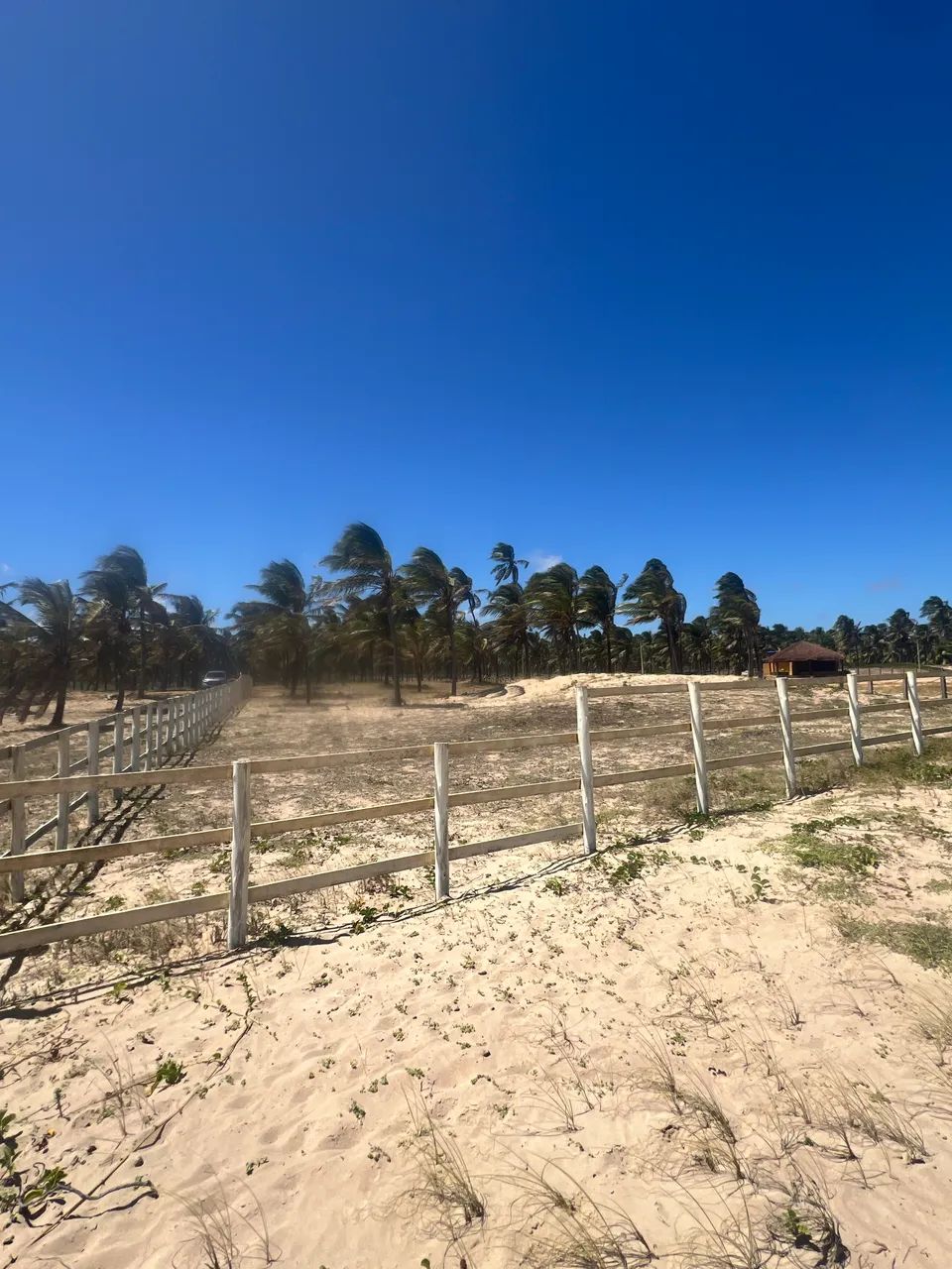 EXCELENTE TERRENO A BEIRA MAR  - Foto 4
