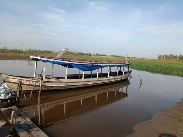 Bajara Motor 18 hp yanmar