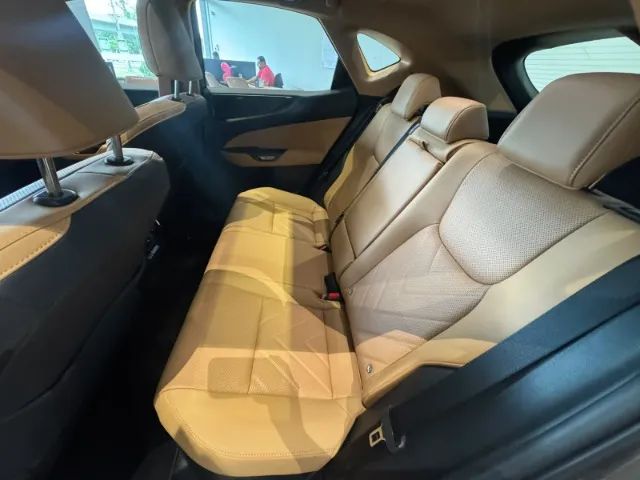 Lexus NX-450h+ AWD 2.5 16V Aut. (Híbrido), foto 17 de 17