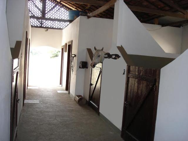 Haras 50 Ha Mateus Leme - Foto 4