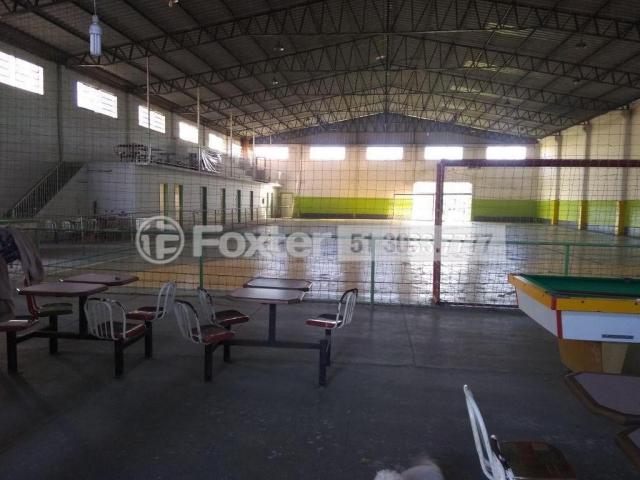 Galpão/depósito/armazém à venda em Maria regina, Alvorada cod:165609 - Foto 4