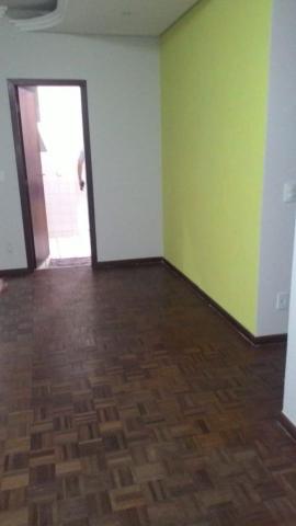 Lindo apartamento de 3q para locação no palmeiras - Foto 4