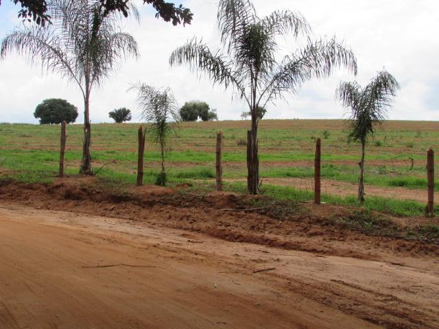 Fazenda para Venda em Alfenas, Rural - Foto 14