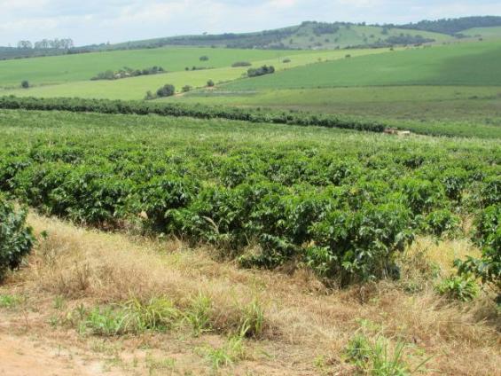 Fazenda para Venda em Alfenas, Rural - Foto 5