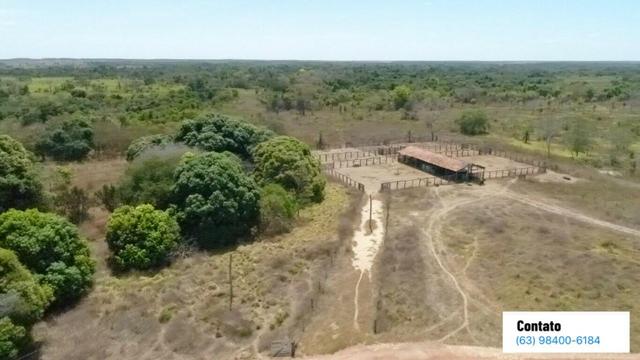 Fazenda no Tocantins - Foto 5