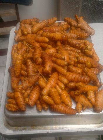 Cúrcuma ( açafrão da terra )
