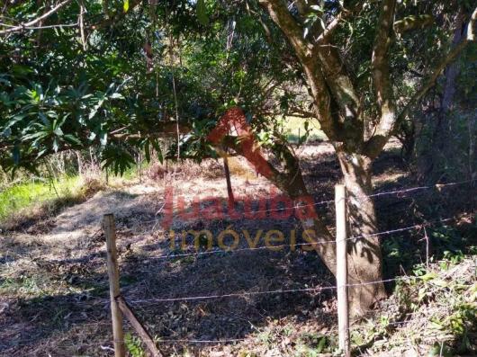 Terreno à venda em Samambaia |, Juatuba cod:TE00042 - Foto 8