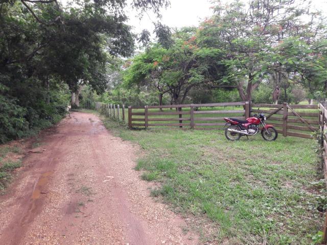 Vende-se uma chácara na beira do rio Cuiabá - Foto 15