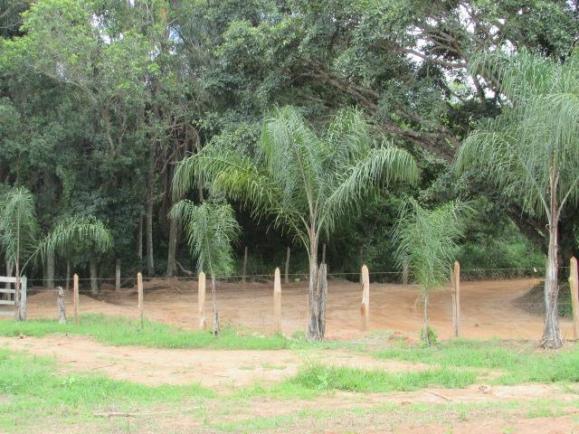 Fazenda para Venda em Alfenas, Rural - Foto 15