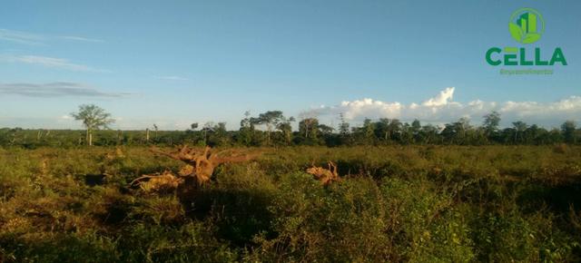 Fazenda / 1.239 ha (256 Alq.) / Tailândia / Pará