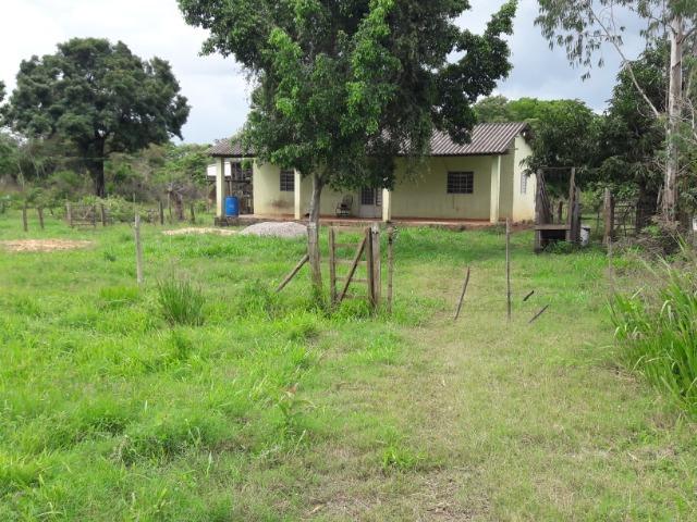 Vende-se uma chácara na beira do rio Cuiabá - Foto 14