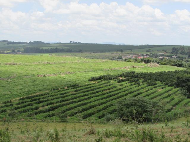Fazenda para Venda em Alfenas, Rural - Foto 10