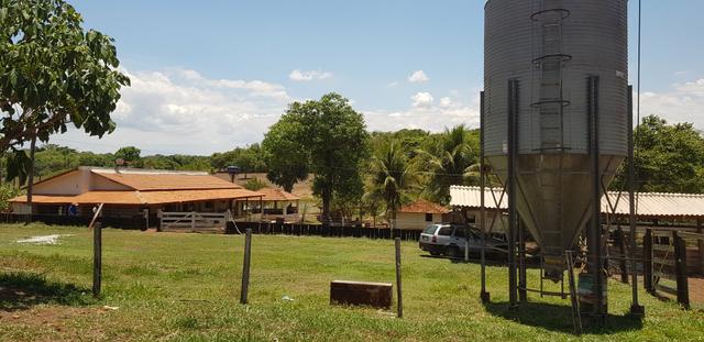 Fazenda de Soja | valor oportunidade | 35 alqueires | Ac. permutas e parcelamos - Foto 3