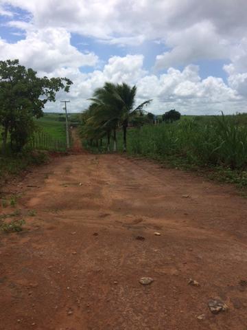 Fazenda-Granja-Sítio com 21 Hectares em Aliança - Foto 13