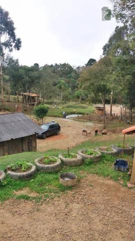 Chácara na colônia murici (são josé dos pinhais) - distrito. - Foto 18