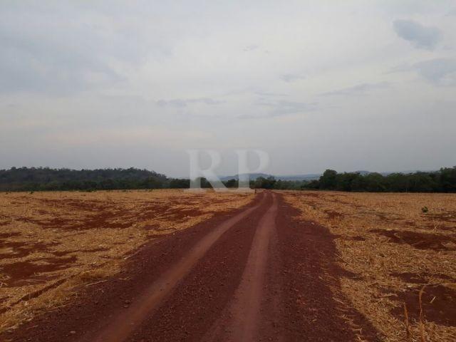 Fazenda 2006 Hectares em Tocantis - Foto 4