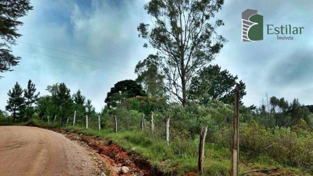 Chácara no curralinho em são josé dos pinhais. - Foto 19
