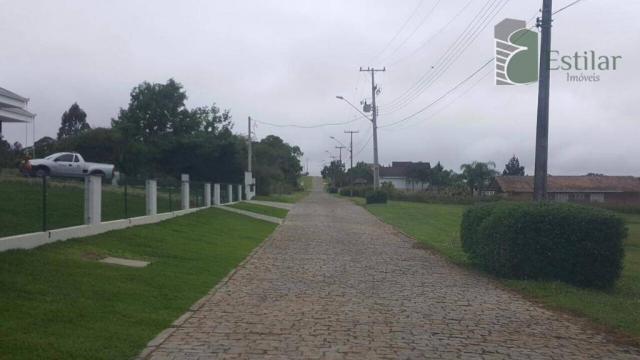 Terreno 15 minutos do centro de são josé dos pinhais. - Foto 3