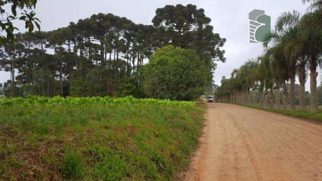 Terreno na colônia murici em são josé dos pinhais. - Foto 13
